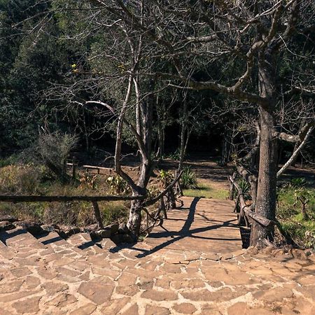 Anew Resort Ingeli Forest Kokstad Kokstad  Ngoại thất bức ảnh