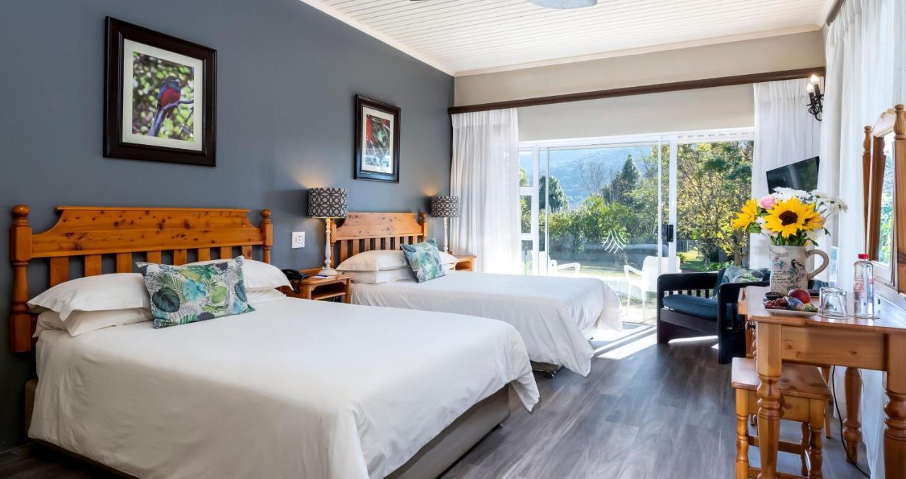 Anew Resort Ingeli Forest Kokstad Kokstad  Ngoại thất bức ảnh